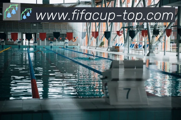 FIFA世界杯比分官方网站服务体系