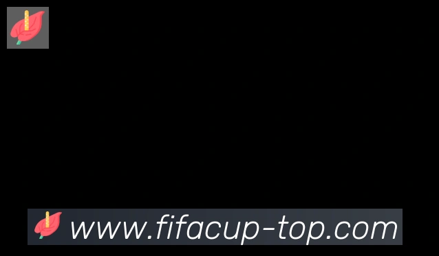 FIFA世界杯比分官方网站合作伙伴