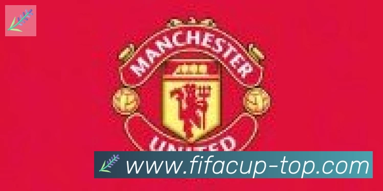 FIFA世界杯比分官方网站合作伙伴